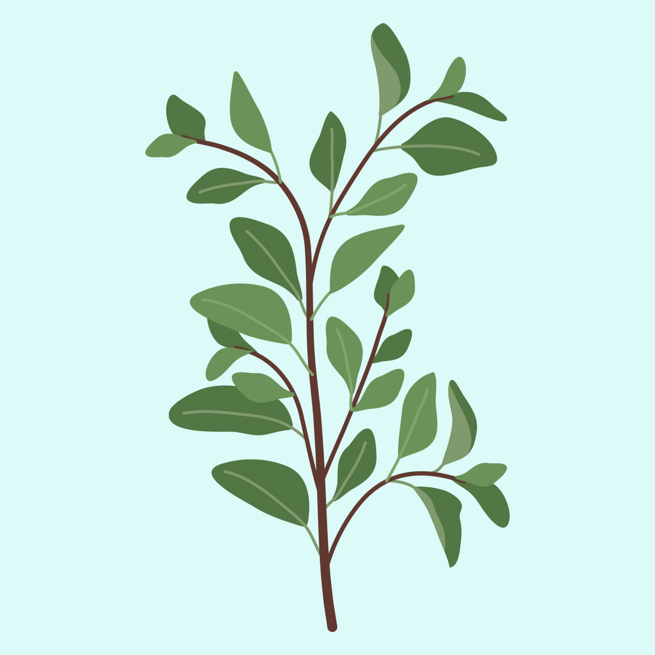 bueno-work-refinery29-oregano