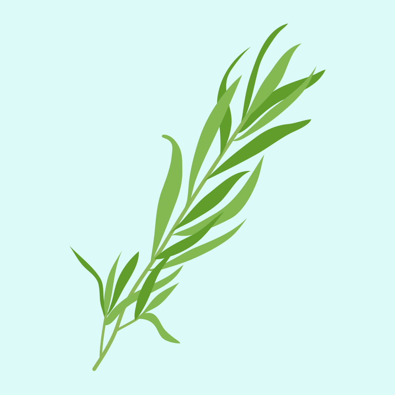 bueno-work-refinery29-tarragon